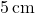 5 \, \text{cm}