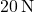20 \, \text{N}